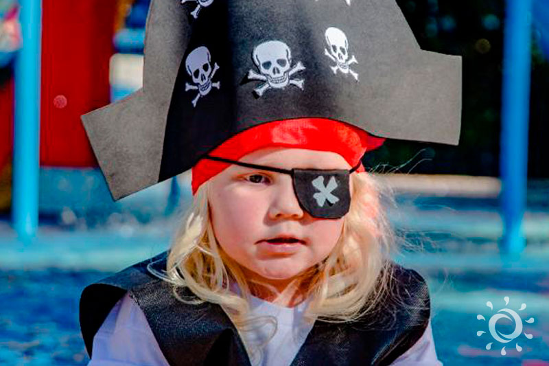 pk_800x533_013.jpg