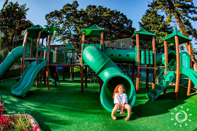 pk_800x533_024.jpg