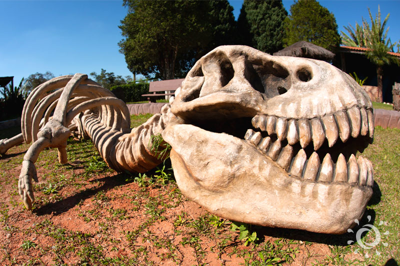 site_800x533_001.jpg